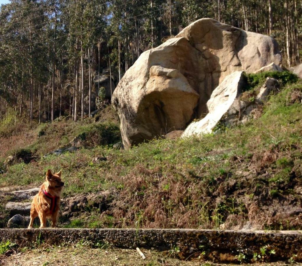 Гостевой дом Finca El Remanso Мондоньедо Экстерьер фото
